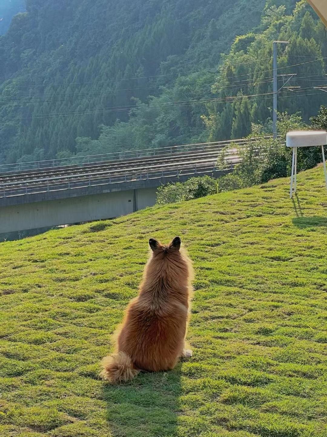 Autumn Inn Yangshuo Εξωτερικό φωτογραφία