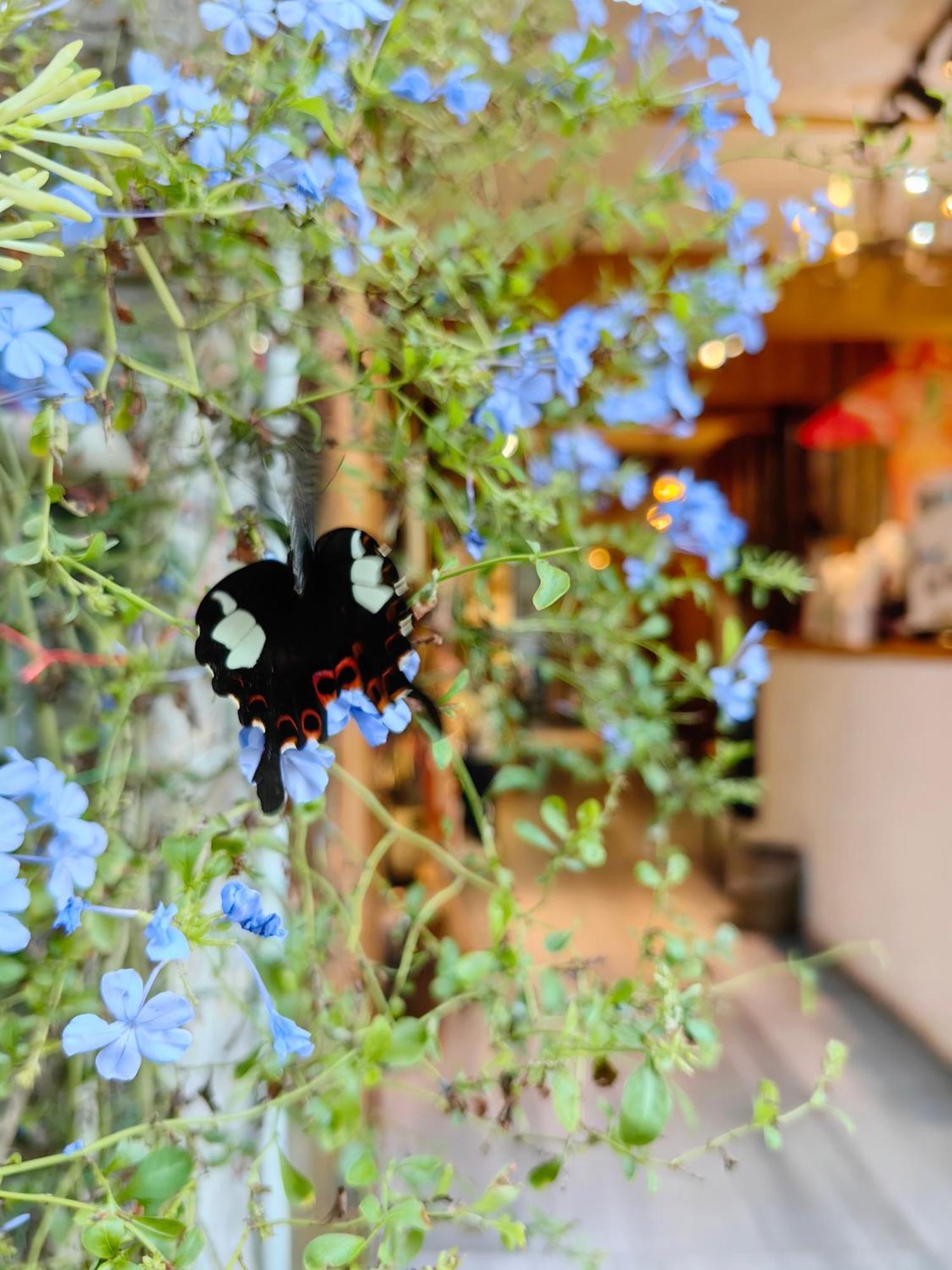 Autumn Inn Yangshuo Εξωτερικό φωτογραφία
